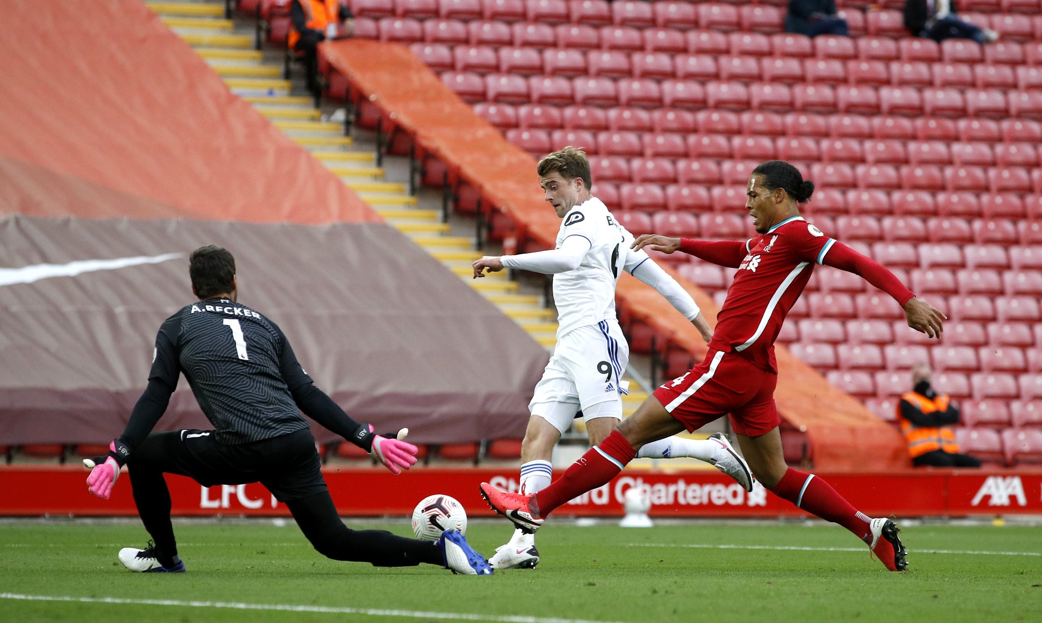 适配性和科 适配性和科